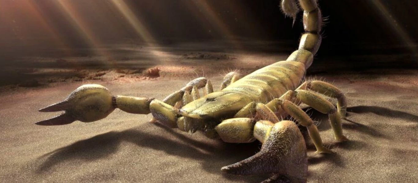 Το δηλητήριο του σκορπιού για θεραπεία της αρθρίτιδας και του καρκίνου του εγκεφάλου - Τι αναφέρουν επιστήμονες